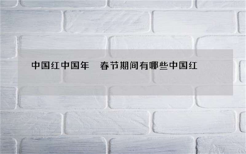 中国红中国年 春节期间有哪些中国红